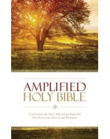 Amplified Holy Bible Thinline