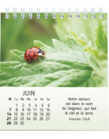Nature en paix calendrier 2026 - Librairie 7 ici