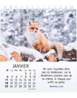 Nature en paix calendrier 2026 - Librairie 7 ici