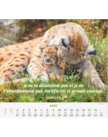 Nos amis les animaux 2026 - Librairie 7 ici