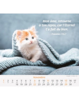 Nos amis les animaux 2026 - Librairie 7 ici