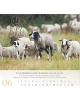 Psaume 23 calendrier grand format 2026 - Librairie 7 ici