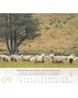 Psaume 23 calendrier grand format 2026 - Librairie 7 ici
