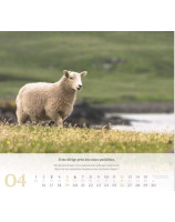 Psaume 23 calendrier grand format 2026 - Librairie 7 ici
