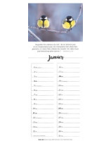 Chaque jour calendrier 2026 - Librairie 7 ici