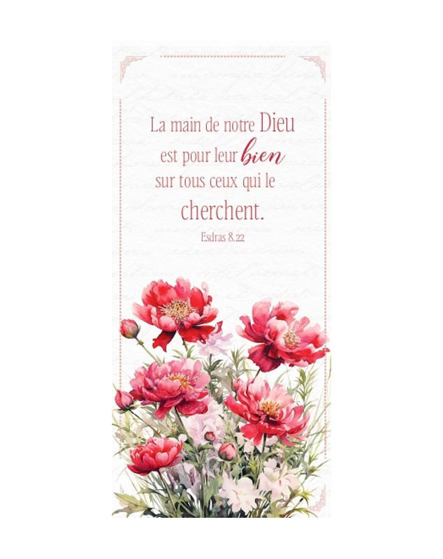 Marque-pages magnet - Librairie 7ici
