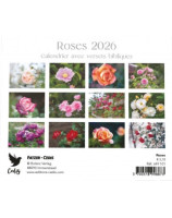 Roses petit format 2026