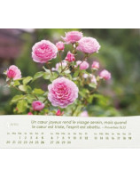 Roses petit format 2026