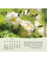 Roses petit format 2026