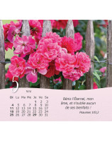 Roses petit format 2026
