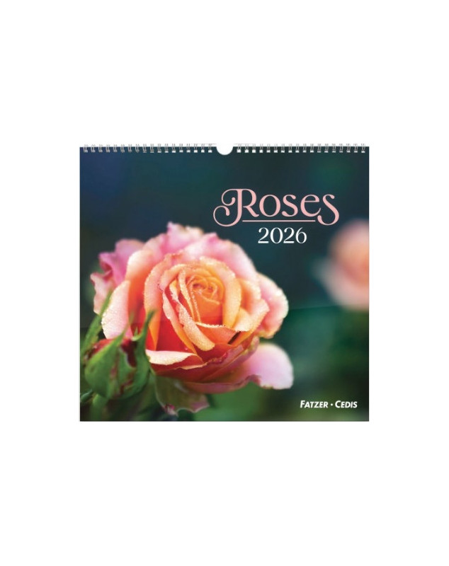 Roses grand format 2026