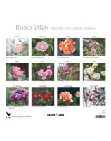 Roses grand format 2026