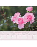 Roses grand format 2026