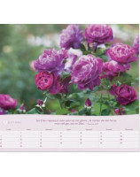 Roses grand format 2026