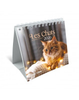 Chats petit format 2026