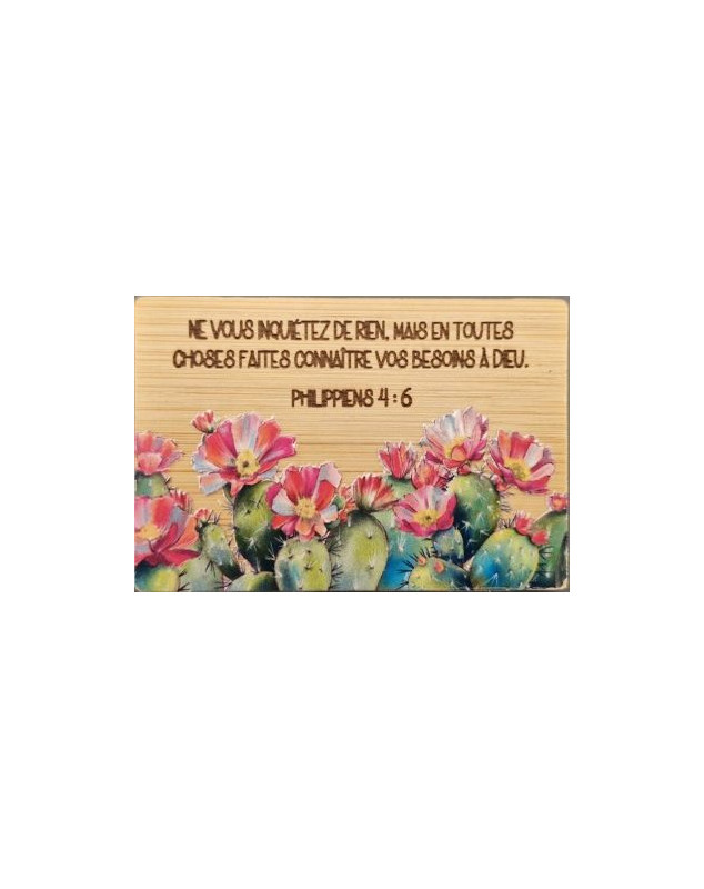 Magnet bambou Philippiens  4.6