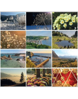 Calendrier perpétuel