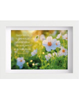 Mon cadre inspiration Fleurs blanches Ro 15.13