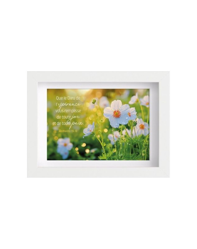 Mon cadre inspiration Fleurs blanches Ro 15.13