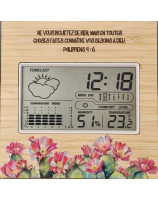Station météo, horloge, calendrier et fonction alarme avec capteur température et humidité