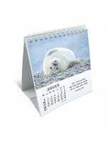 Mes petits amis calendrier 2027 - Librairie  7 ici