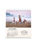Mes petits amis calendrier 2027 - Librairie  7 ici