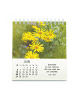 Floralies calendrier 2027 - Librairie 7 ici