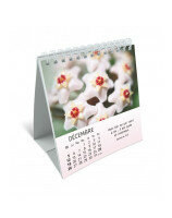 Floralies calendrier 2027 - Librairie 7 ici