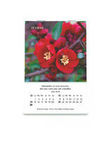 Louanges mini-calendrier 2027 - Librairie chrétienne 7ici