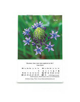 Louanges mini-calendrier 2027 - Librairie chrétienne 7ici