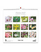 Floréus 2027 : grand format - Librairie chrétienne 7ici