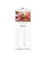 Chaque jour calendrier 2027 - Librairie 7 ici