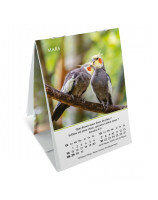 Joie : mini-calendrier 2027 - Librairie 7 ici