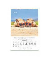 Joie : mini-calendrier 2027 - Librairie 7 ici