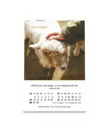 Joie : mini-calendrier 2027 - Librairie 7 ici