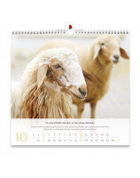 Psaume 23 - Calendrier : grand format 2026 - Librairie 7 ici
