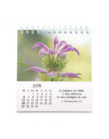 Nature en paix calendrier 2027 - Librairie 7 ici