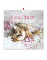 Calendrier chats : grand format 2027 - Librairie chrétienne 7ici