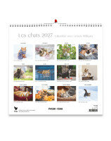 Calendrier chats : grand format 2027 - Librairie chrétienne 7ici