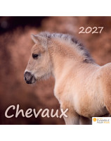Calendrier Chevaux 2026 - Librairie chrétienne 7ici
