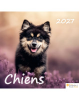 Calendrier Chiens 2027 - Librairie chrétienne 7ici