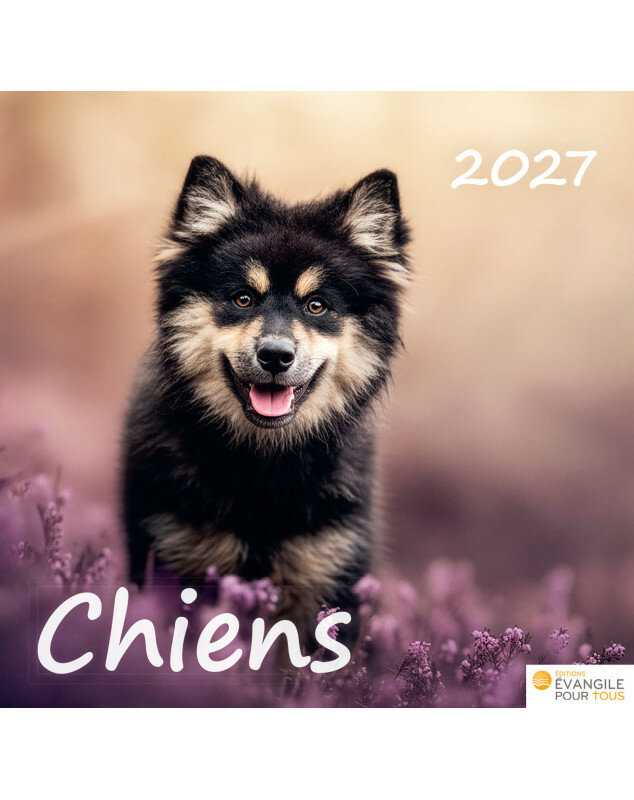 Calendrier Chiens 2027 - Librairie chrétienne 7ici