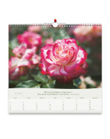 Roses grand format 2026