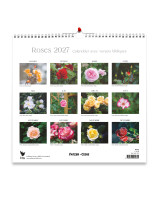 Roses grand format 2026