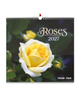 Roses grand format 2026