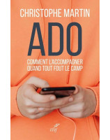 Ado Comment l'accompagner quand tout fout le camp