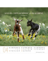 Calendrier Meilleurs Amis 2027 - Librairie chrétienne 7ici