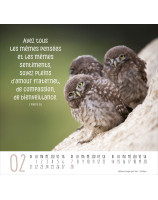 Calendrier Meilleurs Amis 2027 - Librairie chrétienne 7ici