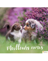 Calendrier Meilleurs Amis 2027 - Librairie chrétienne 7ici