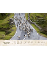 Calendrier Le bon berger 2027 - Librairie chrétienne 7ici